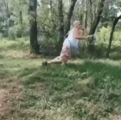 Man Holding Stick On Log In Woods GIF