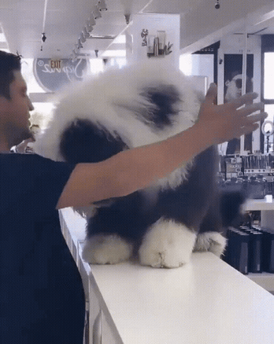 Man Holding Stuffed Animal In Front Of Exit Sign GIF