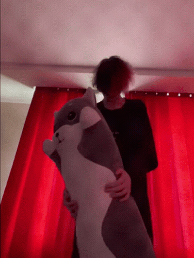 Man Holding Stuffed Animal In Front Of Red Curtain GIF