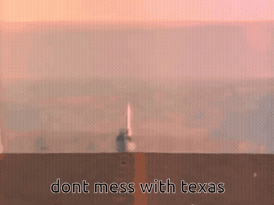 Man Holding Sword Dont Mess With Texas GIF