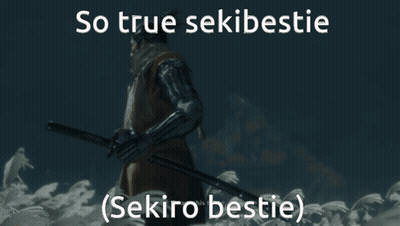 Man Holding Sword So True Sekibestie Sekiro Bestie GIF
