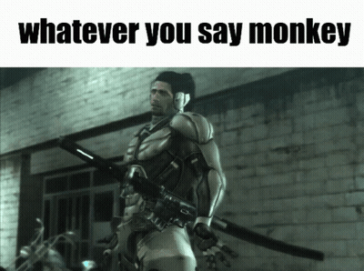Man Holding Sword Whatever You Say Monkey GIF
