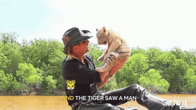 Man Holding Tiger Cub The Tiger Saw A Man GIF