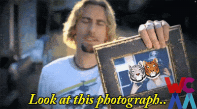 Man Holding Tiger Picture Frame Saying Look At This Photograph GIF