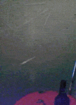 Man Holing Wall And Drinking Beer GIF