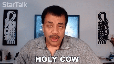 Man Holy Moly Cow Goodness GIF