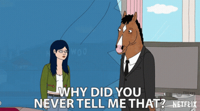 Man Horse Why Did You Never Tell Netflix GIF
