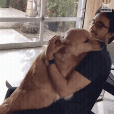 Man Hugging Dog With I Love You Sticker GIF