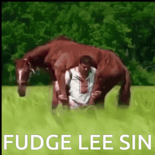 Man Hugging Horse Fudge Lee Sin GIF
