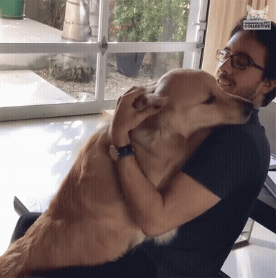 Man Hugging Large Dog With Dog Collective Logo GIF