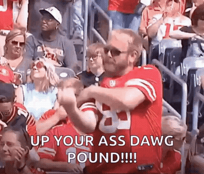 Man In 49Ers Jersey Dancing At Football Game GIF
