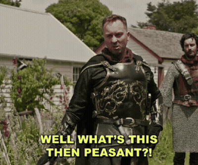 Man In Armor Says Well What's This Then Peasant GIF