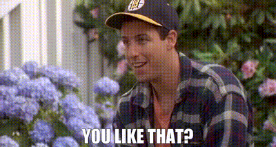 Man In Baseball Cap And Plaid Shirt Saying You Like That GIF