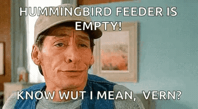 Man In Baseball Cap With Hummingbird Feeder Caption GIF