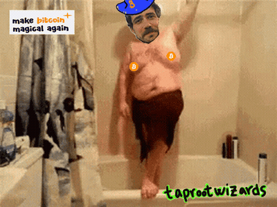 Man In Bathtub With Make Bitcoin Magical Again GIF