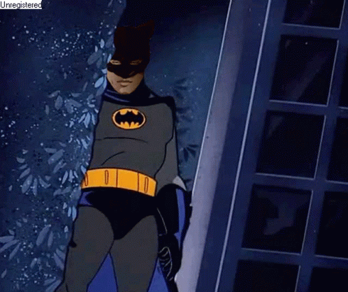 Man In Batman Costume With Cat Mask GIF