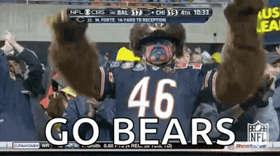 Man In Bear Costume Cheering For Bears GIF