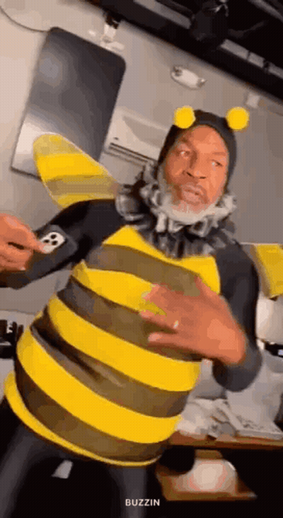 Man In Bee Costume Standing GIF