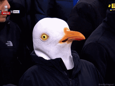 Man In Bird Mask Watching Soccer Score 42:26 GIF