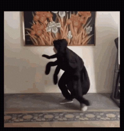 Man In Black Hoodie Dancing GIF