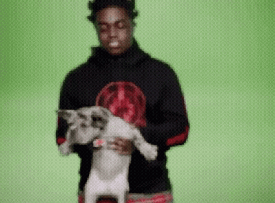 Man In Black Hoodie Holding Small Dog GIF