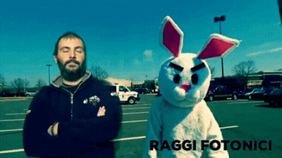 Man In Black Jacket Next To Stuffed Bunny Raggi Fotonici GIF