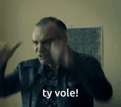 Man In Black Jacket Says Ty Vole GIF