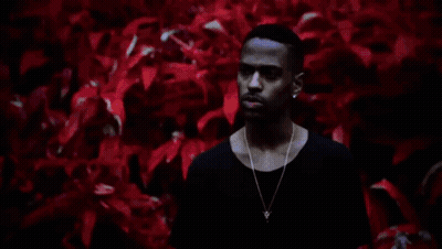 Man In Black Shirt And Gold Necklace Among Purple Flowers GIF