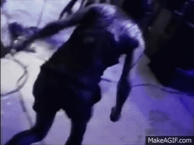 Man In Black Shirt Dancing GIF