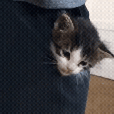 Man In Black Shirt Gaming Without Barriers GIF