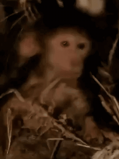 Man In Black Shirt Now Chill Out By Fire GIF