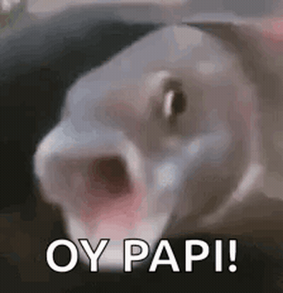 Man In Black Shirt Saying I'm Your Papi GIF