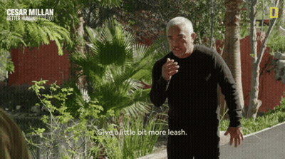 Man In Black Shirt Says Give A Little Bit More Leash National Geographic Ad GIF