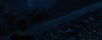Man In Black Shirt Standing Before Crowd At Night GIF