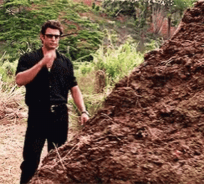 Man In Black Shirt Standing Next To Pile Of Dirt GIF