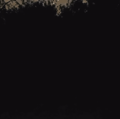 Man In Black Suit And White Mask In Dark Forest GIF