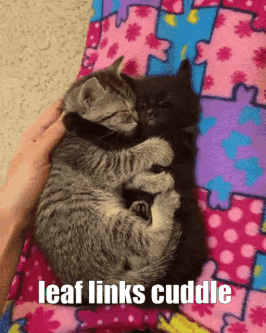 Man In Black Sweater At Table With French Caption GIF