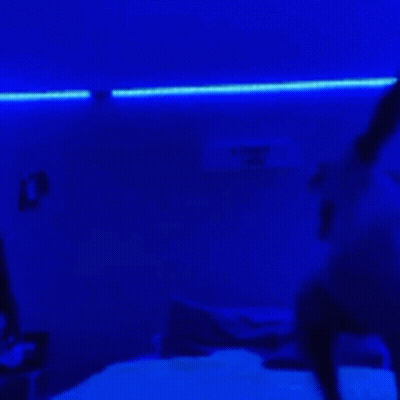 Man In Black Sweater Smiling And Pointing GIF