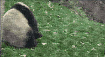 Man In Black Tank Top Arm In Air GIF