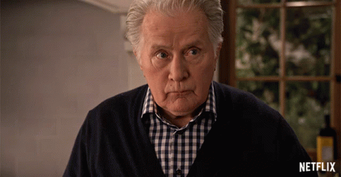 Man In Blue And White Checkered Shirt GIF