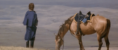Man In Blue Cape Next To Horse GIF