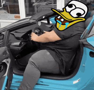 Man In Blue Car With Cartoon Duck On Face GIF