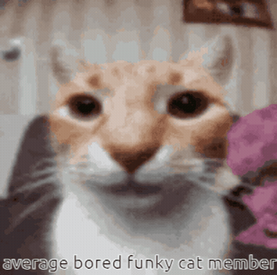 Man In Blue Jacket And Black Shirt GIF
