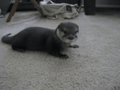 Man In Blue Jacket Beside Walrus Distractify.com Sign GIF