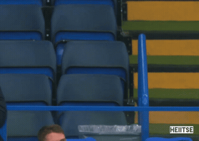 Man In Blue Jacket In Stadium With Heitse GIF