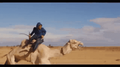 Man In Blue Jacket Sitting On Camel In Desert GIF