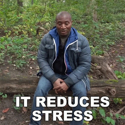Man In Blue Jacket Sitting On Log GIF