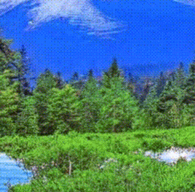 Man In Blue Jacket Walking Down Dirt Path In Woods GIF