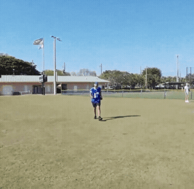 Man In Blue Jersey Number 17 GIF