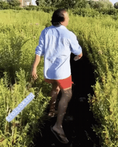Man In Blue Shirt And Red Shorts Walking Through Grassy Field GIF